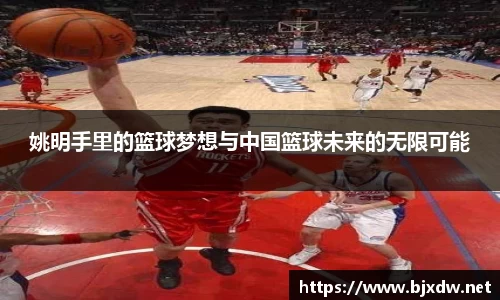 姚明手里的篮球梦想与中国篮球未来的无限可能