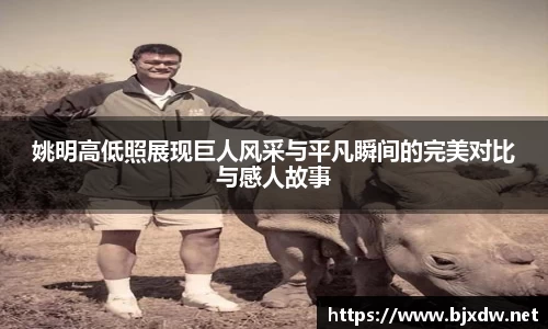 NG娱乐平台